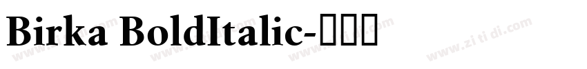 Birka BoldItalic字体转换